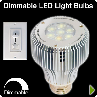dimmalbe led light bulbs
